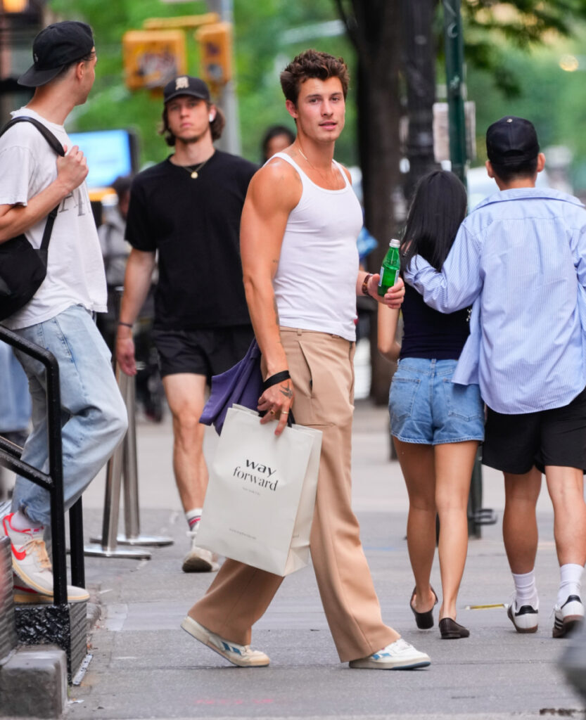 Reebok: pánské boty Shawn Mendes